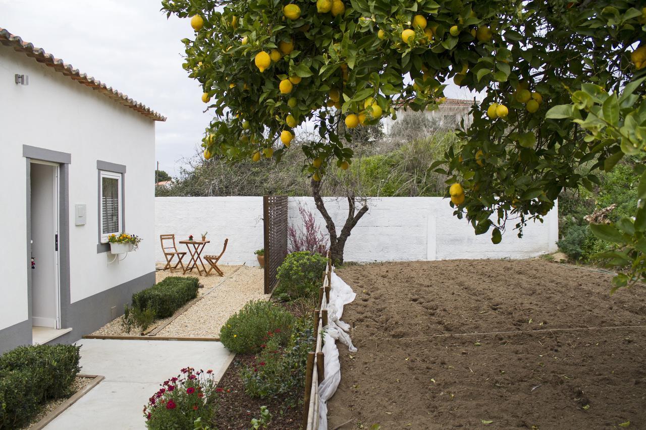 Casa Do Avo Serra Лейрия Экстерьер фото